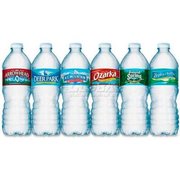 Nestle Waters Nestle Premium Spring Bottled Water, 16.91 Oz, 24/Carton NLE101243